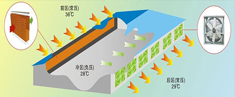 降温方案